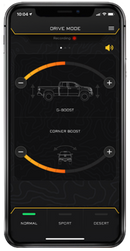 ICON 22-23 Ford F150 Lightning IIC Install Kit