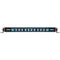 Rigid Industries 50in Radiance Plus SR-Series Single Row LED Light Bar with 8 Backlight Options