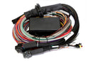 Haltech Elite 2500 & 2500 T 8ft Premium Universal Wire-In Harness