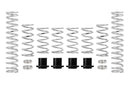 Eibach Pro-UTV 17-19 Polaris RZR XP1000 2-Seat EPS Stage 2 Performance Springs