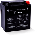 Yuasa YIX30L Maintenance Free AGM 12 Volt Battery