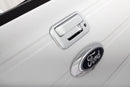 AVS 04-14 Ford F-150 Tailgate Handle Cover 2pc - Chrome