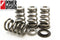 GSC P-D Mitsubishi 4B11T High Pressure Single Conical Valve Spring and Ti Retainer Kit