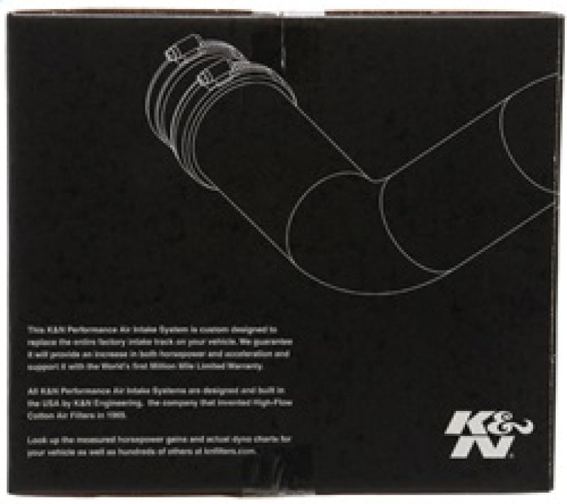 K&N 00-05 BMW 330 L6-3.0L E46 Performance Intake Kit