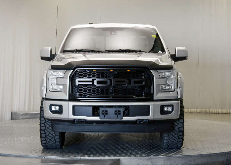 EGR 15+ Ford F150 Superguard Hood Shield - Matte (303475)