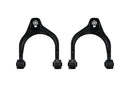 Eibach Pro-Alignment Rear Camber Kit for 09 Acura TL/TSX / 08 Honda Accord 3.5LV6 / 08-09 Accord 2.