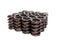 COMP Cams Valve Springs Outer W/Damper