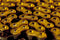 Renthal R1 428-120L Works Chain