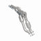 MagnaFlow Conv DF 00-04 Lexus IS/GS300 mani