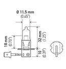 Hella H3 12V 55W Xen White XB Bulb (Pair)